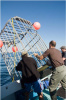 Shark Cage Diving RI